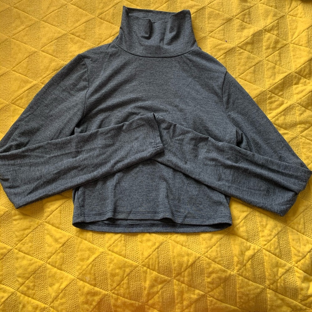 Grey Cropped Turtle Neck